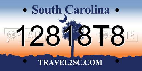 12818T8 South Carolina License Plate