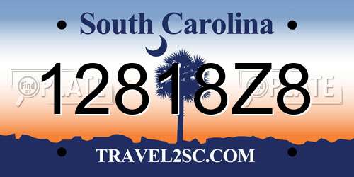 12818Z8 South Carolina License Plate