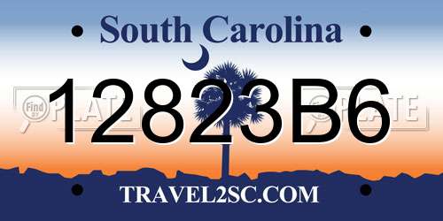 12823B6 South Carolina License Plate