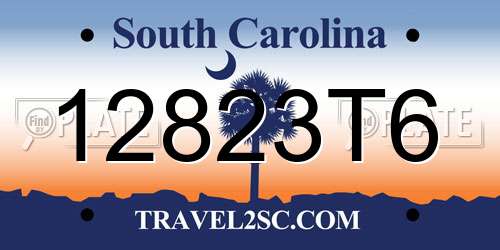 12823T6 South Carolina License Plate
