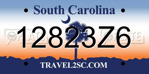 12823Z6 South Carolina License Plate