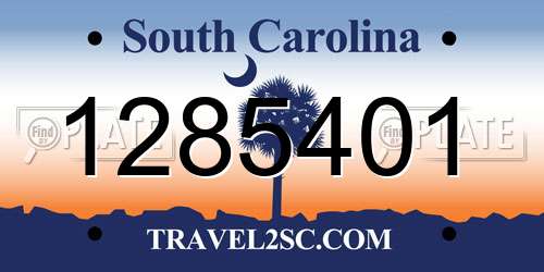 1285401 South Carolina License Plate