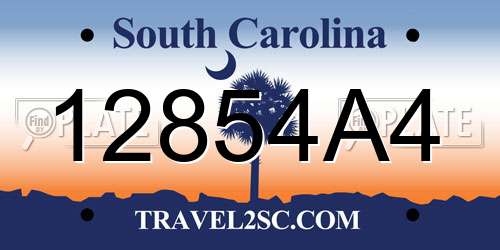 12854A4 South Carolina License Plate