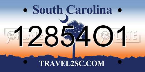 12854O1 South Carolina License Plate