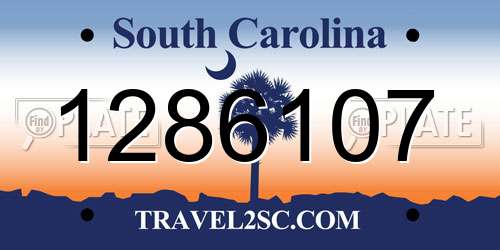 1286107 South Carolina License Plate