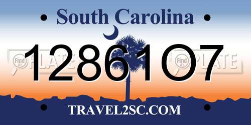 12861O7 South Carolina License Plate