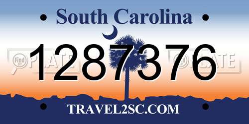 1287376 South Carolina License Plate