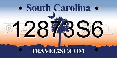12873S6 South Carolina License Plate