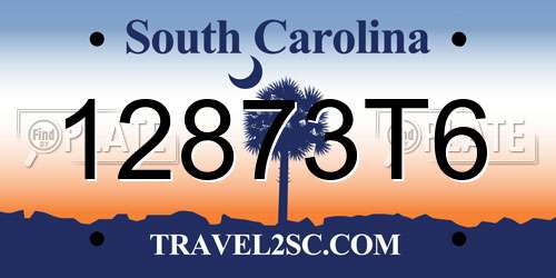 12873T6 South Carolina License Plate