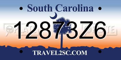 12873Z6 South Carolina License Plate