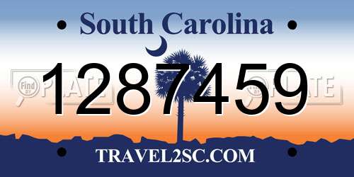 1287459 South Carolina License Plate