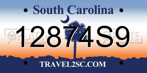 12874S9 South Carolina License Plate
