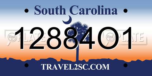 12884O1 South Carolina License Plate