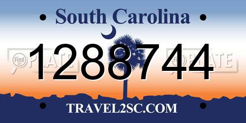 1288744 South Carolina License Plate