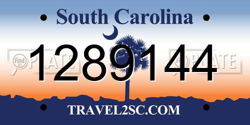 1289144 South Carolina License Plate