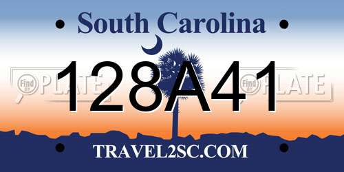 128A41 South Carolina License Plate