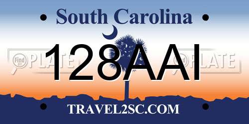 128AAI South Carolina License Plate