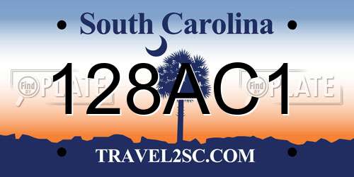 128AC1 South Carolina License Plate