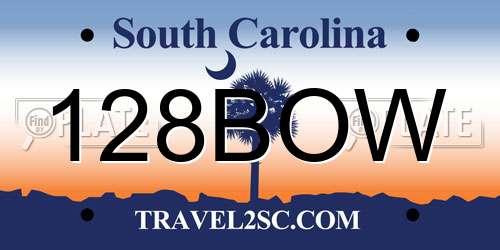 128BOW South Carolina License Plate
