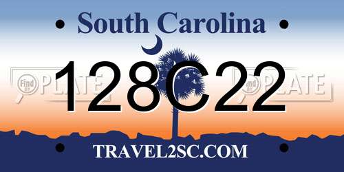 128C22 South Carolina License Plate
