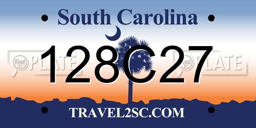 128C27 South Carolina License Plate