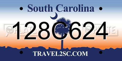 128C624 South Carolina License Plate