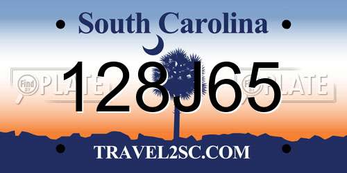 128J65 South Carolina License Plate