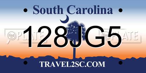 128JG5 South Carolina License Plate