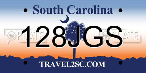 128JGS South Carolina License Plate
