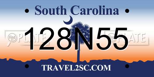 128N55 South Carolina License Plate