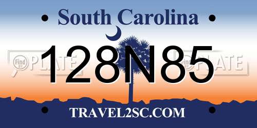 128N85 South Carolina License Plate
