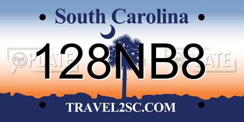 128NB8 South Carolina License Plate
