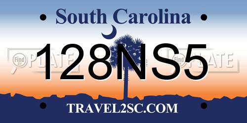 128NS5 South Carolina License Plate