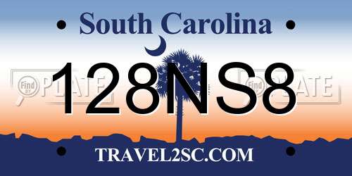 128NS8 South Carolina License Plate