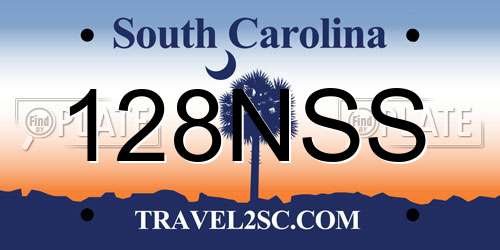 128NSS South Carolina License Plate