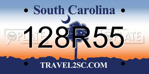 128R55 South Carolina License Plate