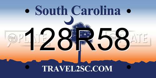 128R58 South Carolina License Plate