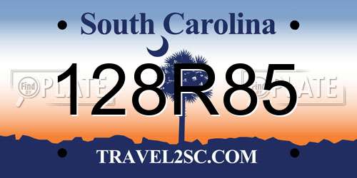 128R85 South Carolina License Plate