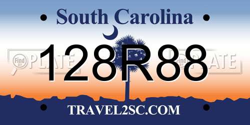 128R88 South Carolina License Plate