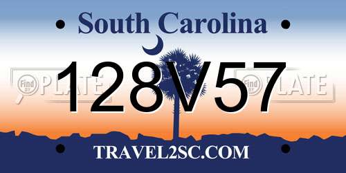 128V57 South Carolina License Plate