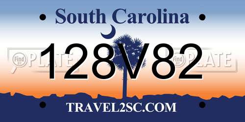 128V82 South Carolina License Plate