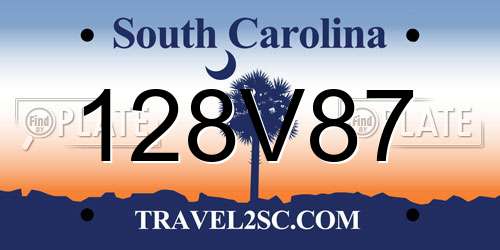 128V87 South Carolina License Plate
