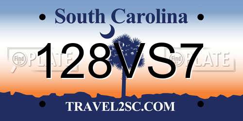 128VS7 South Carolina License Plate