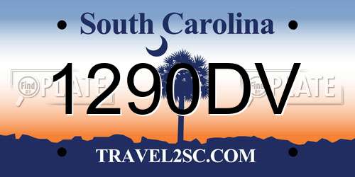 1290DV South Carolina License Plate