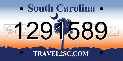 1291589 South Carolina License Plate