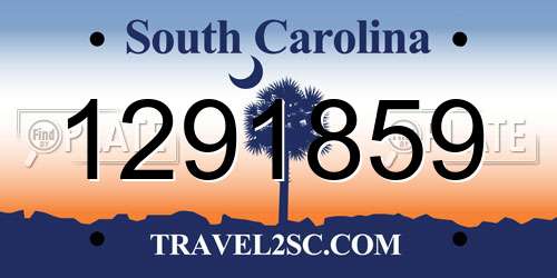 1291859 South Carolina License Plate