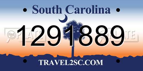 1291889 South Carolina License Plate