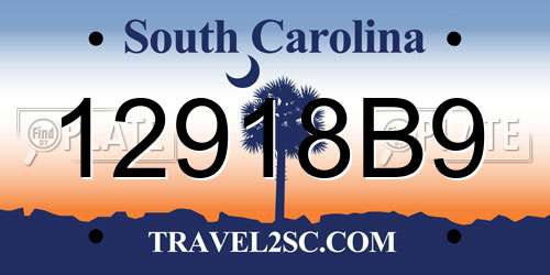 12918B9 South Carolina License Plate