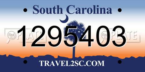 1295403 South Carolina License Plate