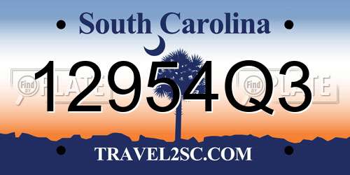 12954Q3 South Carolina License Plate